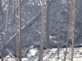 Erosion.jpg - 83188 Bytes