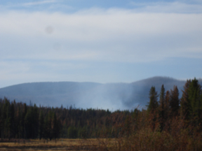 Stillburning2.jpg - 47824 Bytes