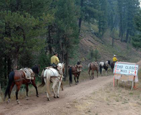 Packtrain.jpg - 68793 Bytes