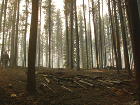 Behind.jpg - 88141 Bytes