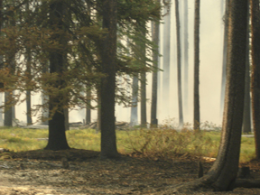 Behindflaring.jpg - 78293 Bytes