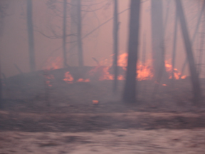 Goingin.jpg - 44405 Bytes