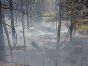 Goingin3.jpg - 65878 Bytes