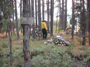 Goingin4.jpg - 95667 Bytes