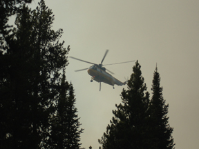 Lois.jpg - 54917 Bytes