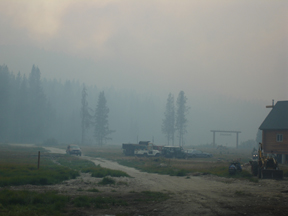 Meadow2.jpg - 41309 Bytes