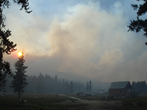 Meadow3.jpg - 48166 Bytes