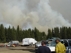 Meckels.jpg - 59362 Bytes