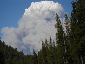 Summit.jpg - 64048 Bytes