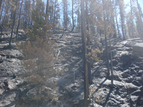 16.jpg - 91334 Bytes