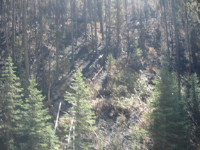 LongGulch.jpg - 90649 Bytes
