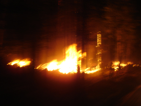 20.jpg - 43395 Bytes