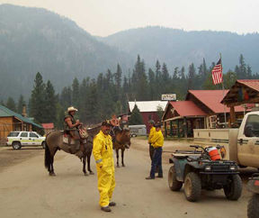 Horses.jpg - 63409 Bytes