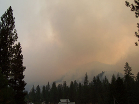 Ridge1.jpg - 43383 Bytes