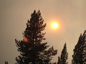 Sun.jpg - 60062 Bytes