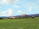 Warren